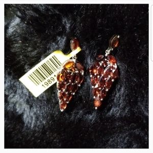 Natural Garnet Earrings